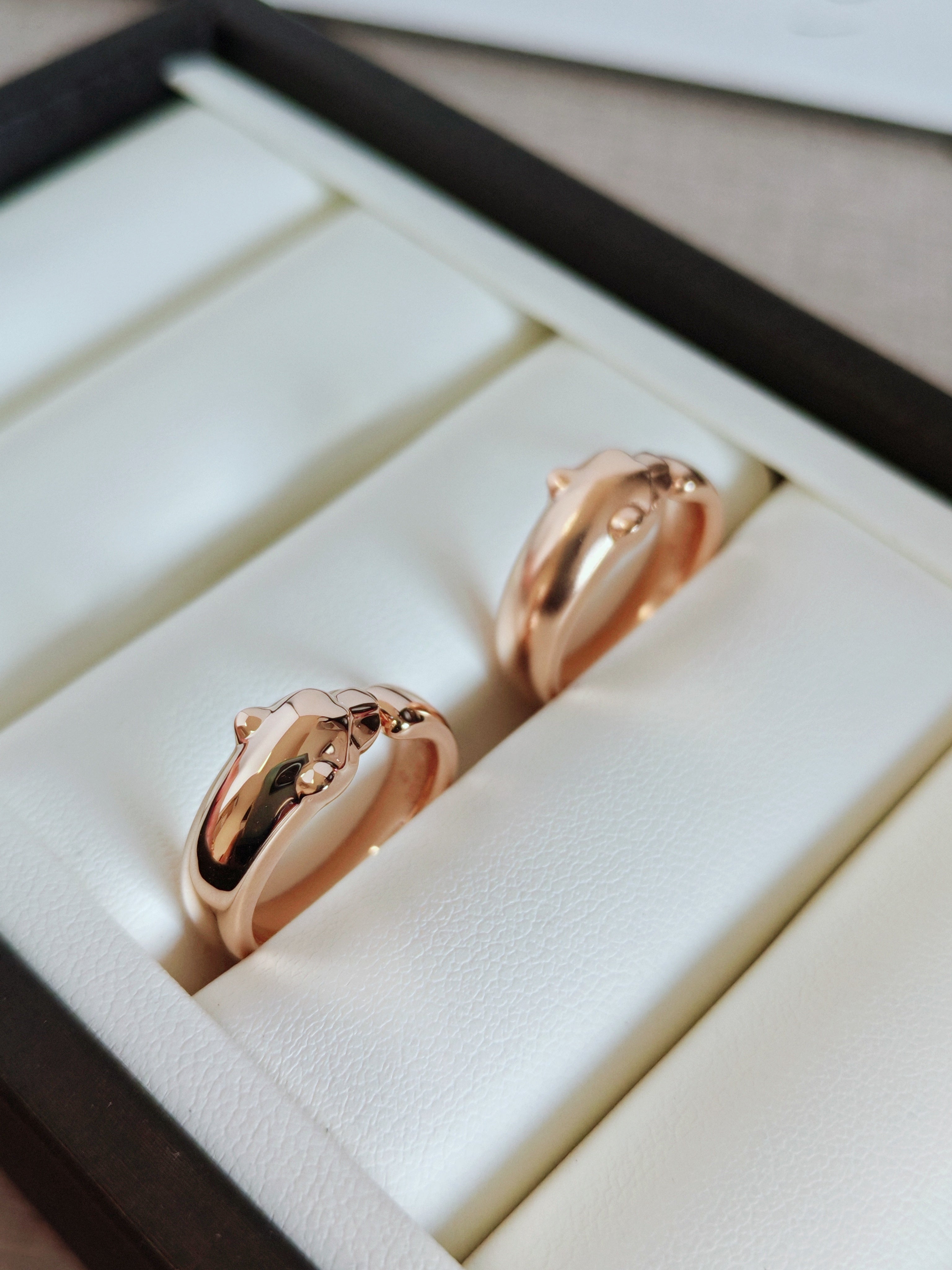Panthère de Ring, Medium Model